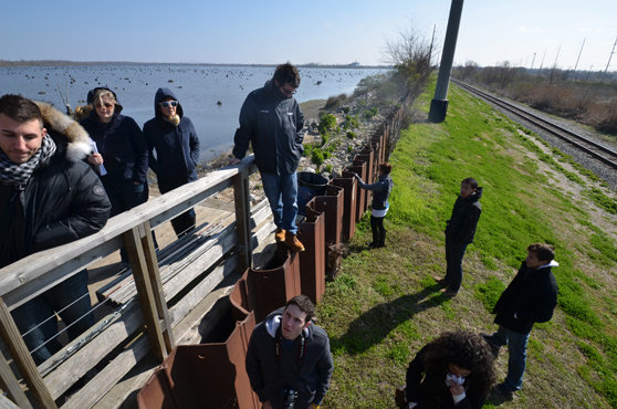 Bayou Bienvenue viewing platform, Lower Ninth Ward.